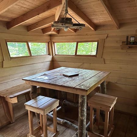 Les Ecolodges De L'Orbiere Forcé Exteriör bild