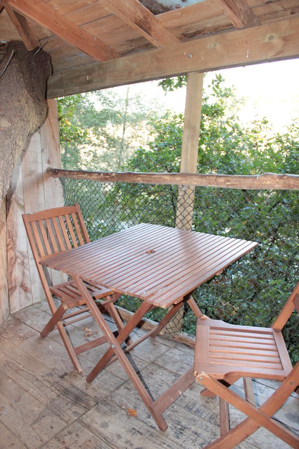 Les Ecolodges De L'Orbiere Forcé Exteriör bild
