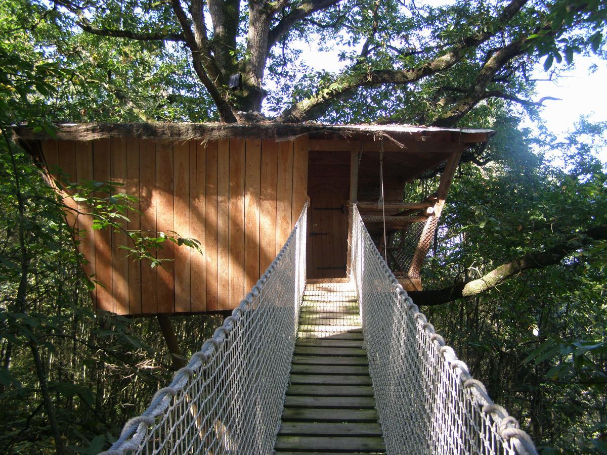 Les Ecolodges De L'Orbiere Forcé Exteriör bild