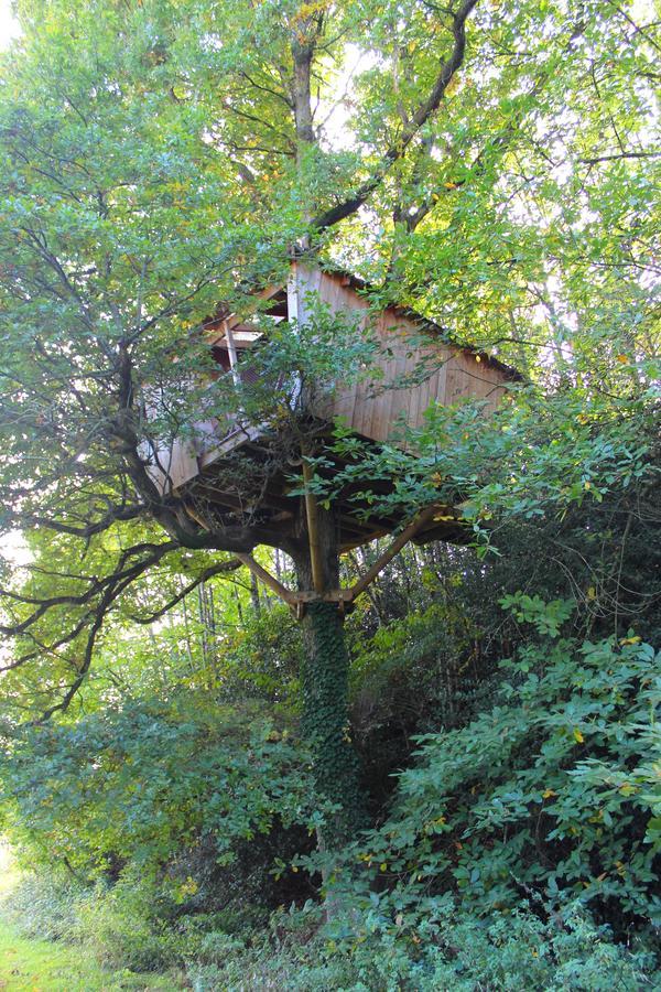 Les Ecolodges De L'Orbiere Forcé Exteriör bild