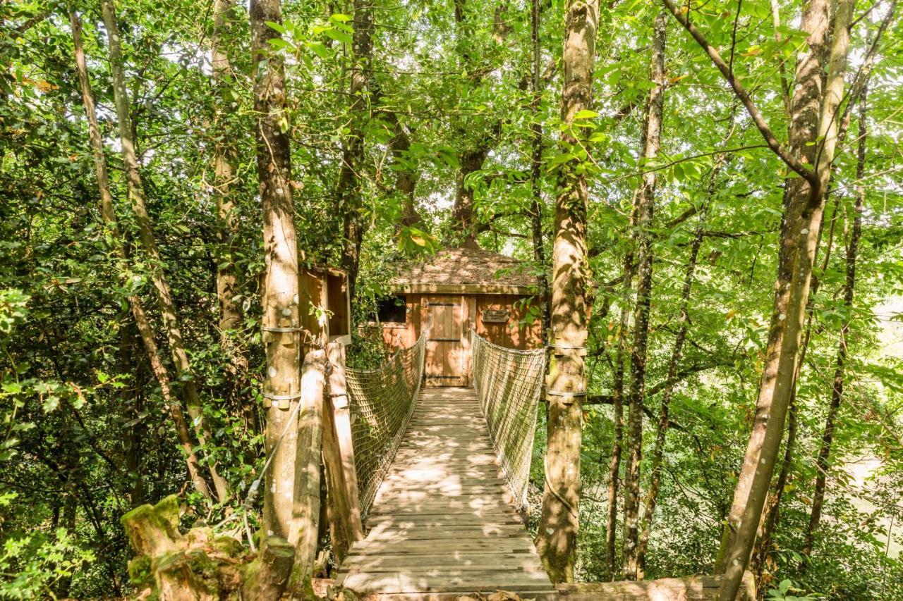 Les Ecolodges De L'Orbiere Forcé Exteriör bild