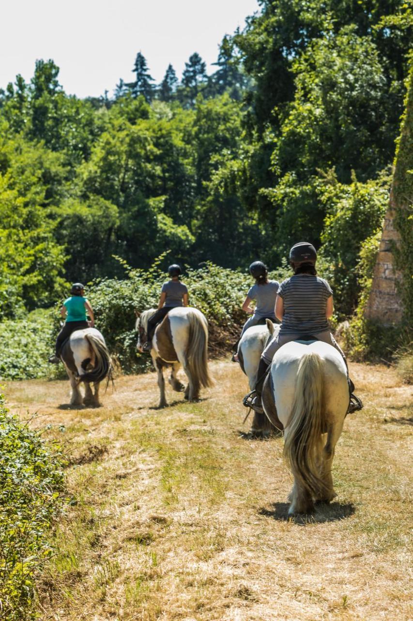 Les Ecolodges De L'Orbiere Forcé Exteriör bild